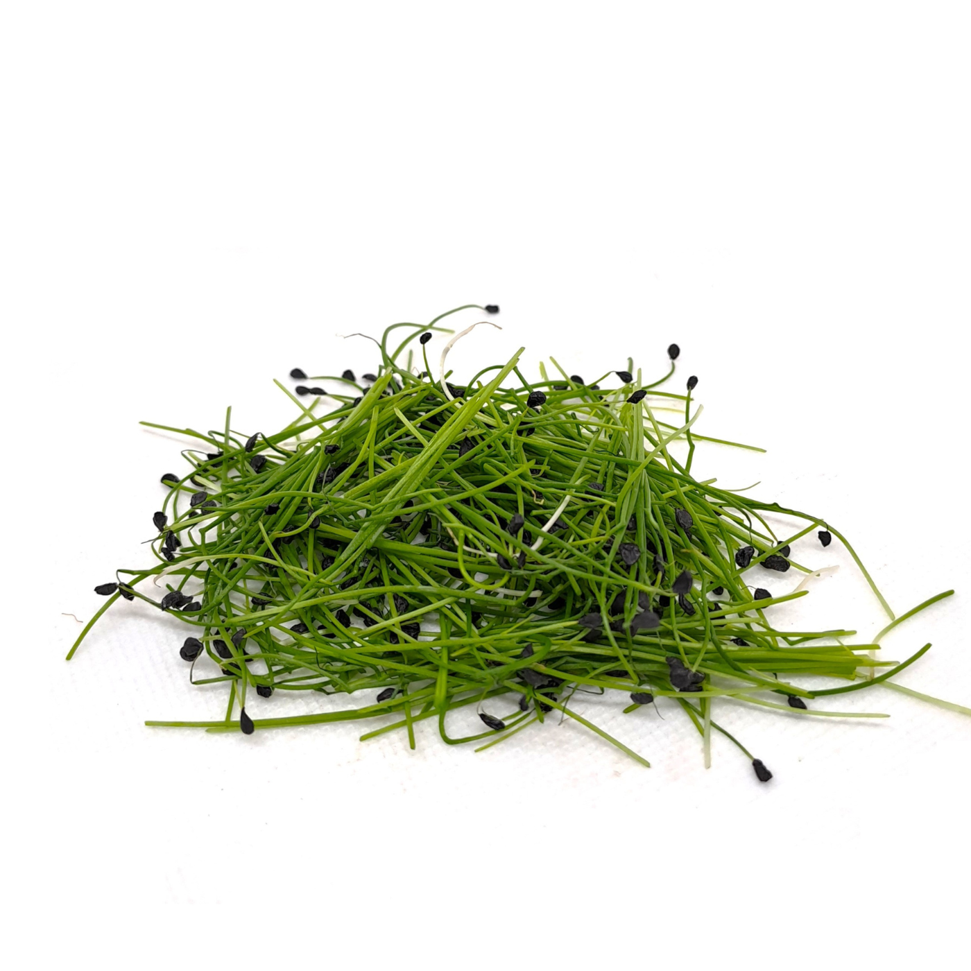 Chives Microgreens