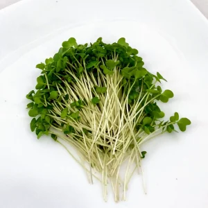 Broccoli Microgreens
